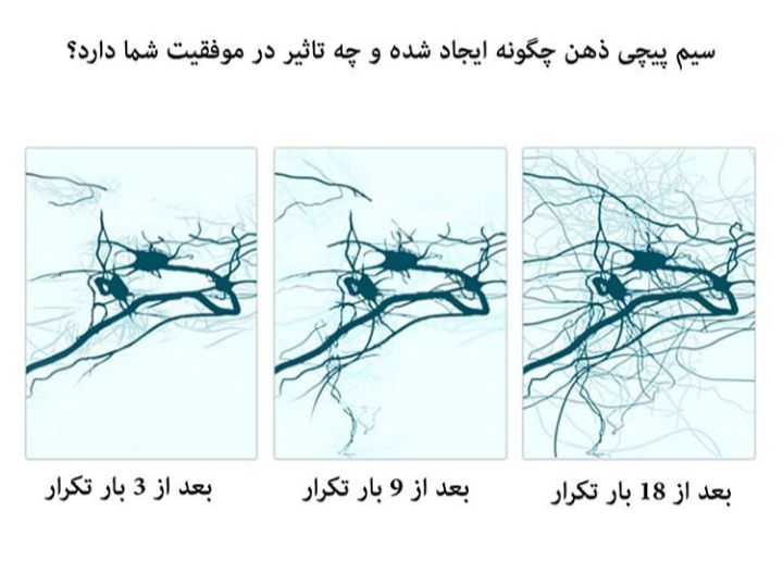 نورون های مغزی